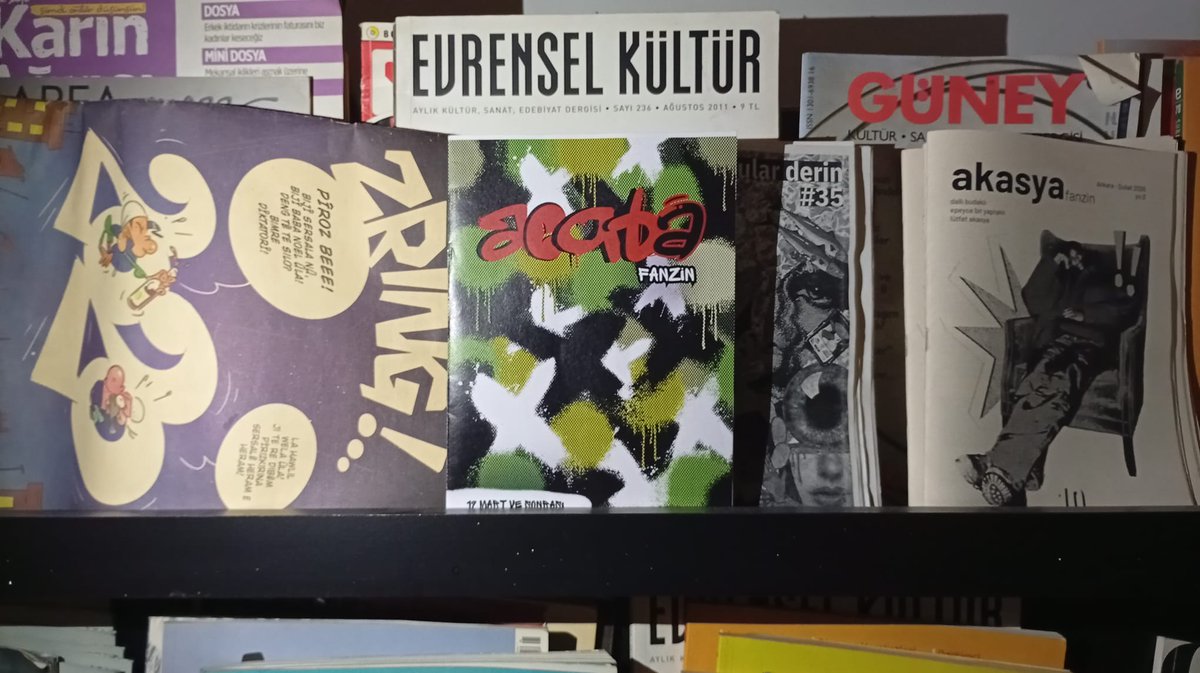 acabaFanzin tweet media