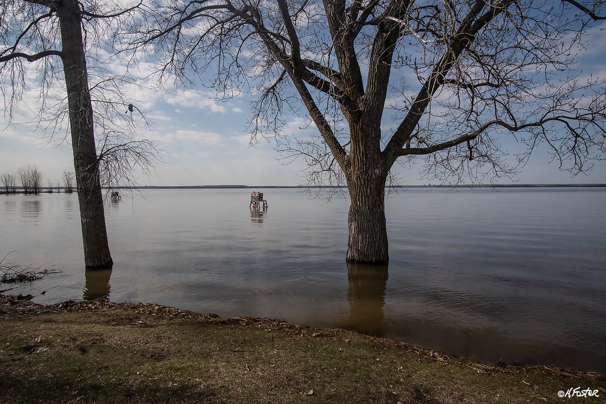 harry_fosters's tweet image. Post 2 of 4
Went for a walk around the #Aylmer Marina this morning to see the effect of high water. Besides these images of high water there were a few buildings and houses pumping water out of basements.#flooding #highwater