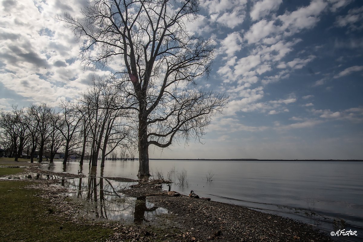 harry_fosters's tweet image. Post 2 of 4
Went for a walk around the #Aylmer Marina this morning to see the effect of high water. Besides these images of high water there were a few buildings and houses pumping water out of basements.#flooding #highwater