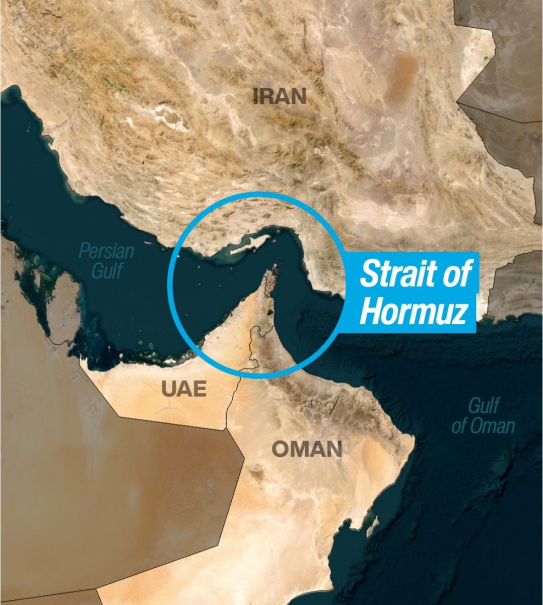 David Criekemans tweet media