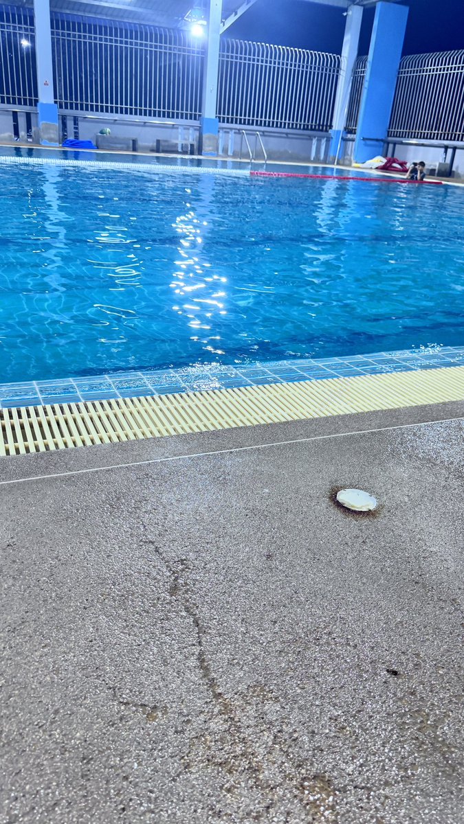 damyali1993 tweet media