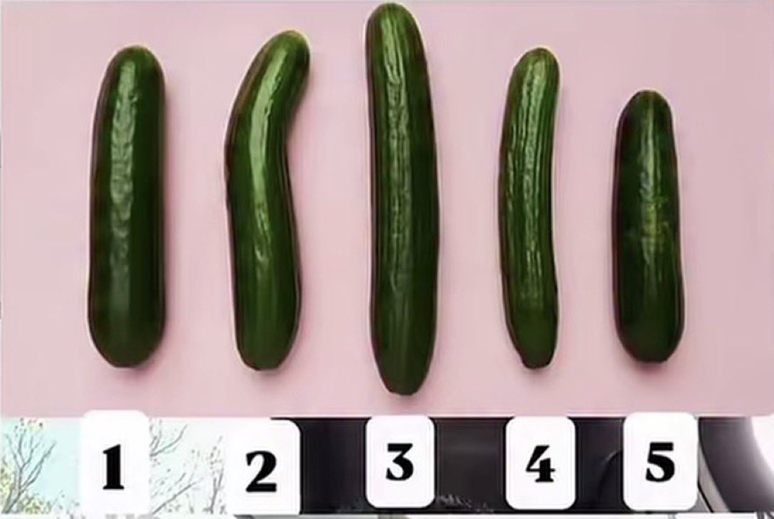 𝙺𝙲 𝙺𝚊𝚝𝚎🌹 tweet media