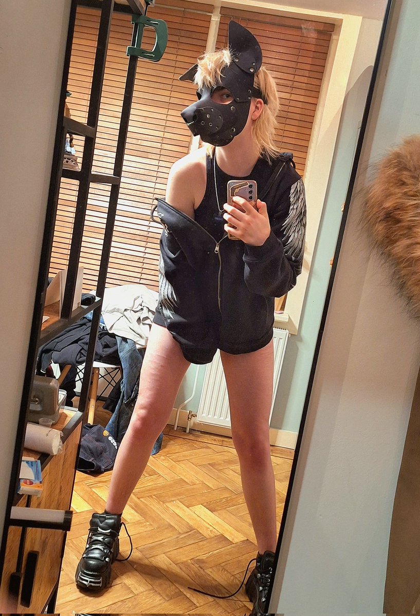 Chase 🐾🏳️‍⚧️ tweet media