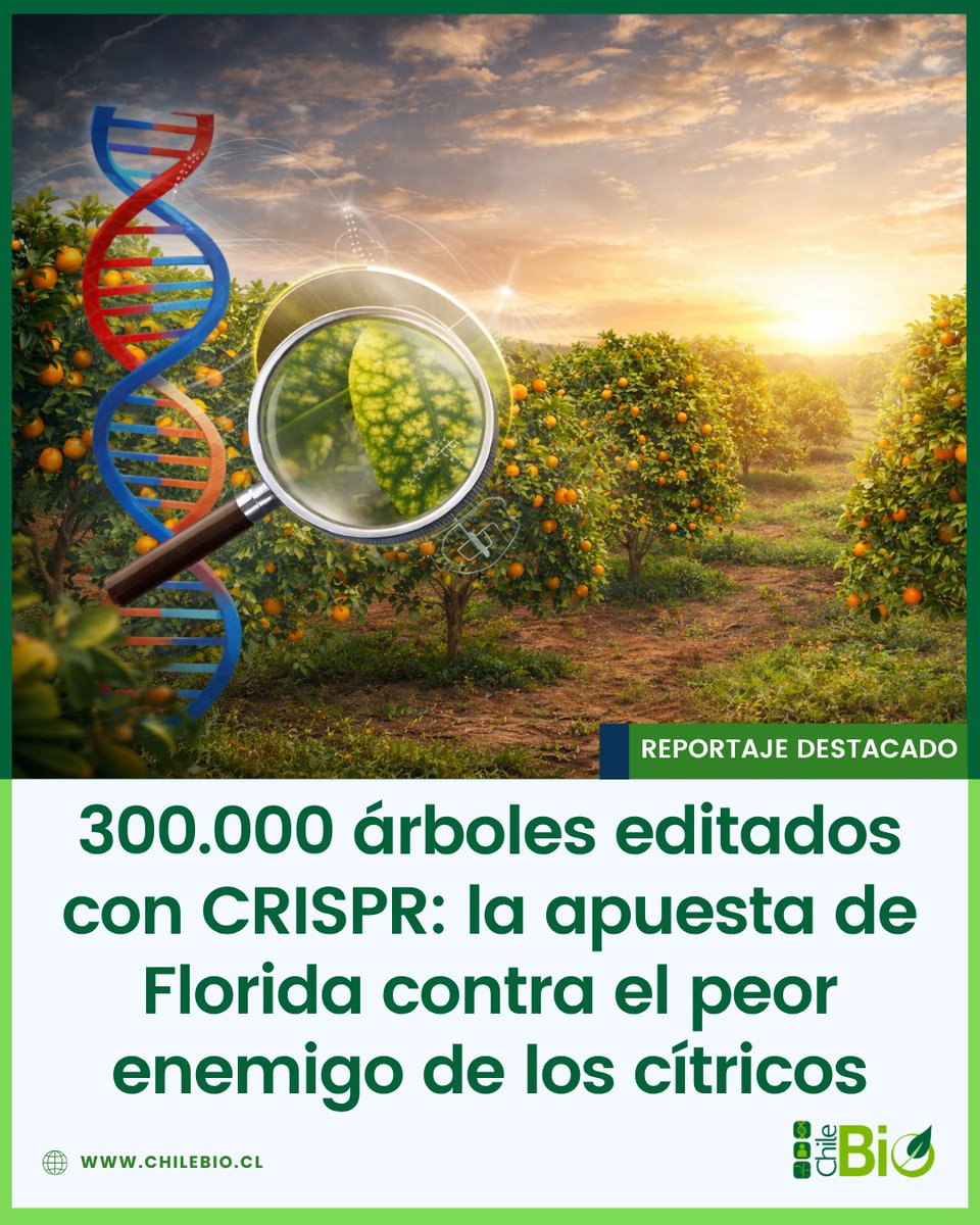 ChileBio tweet media