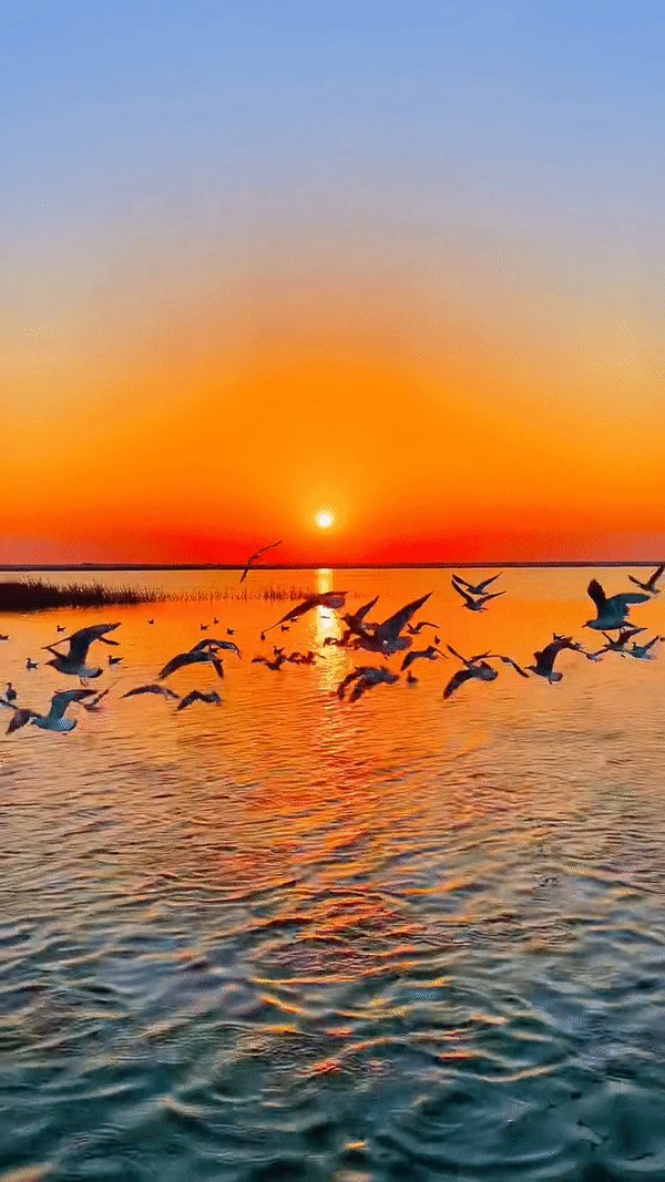 Jason Bailey tweet media