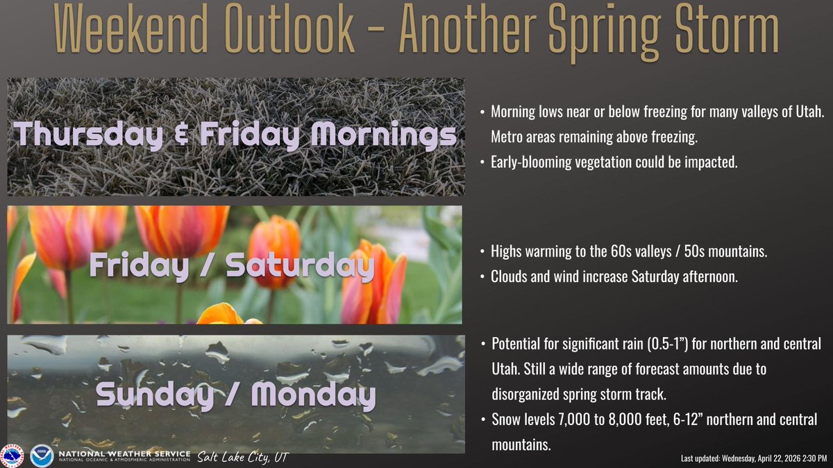 NWSSaltLakeCity's tweet image. Forecast certainty later this weekend is lower than usual with a less predictable spring storm track in place, but there is potential for significant valley rain (half inch to an inch) for central/northern valleys with 6-12" snow above 7,000 feet. Stay tuned. #UTwx