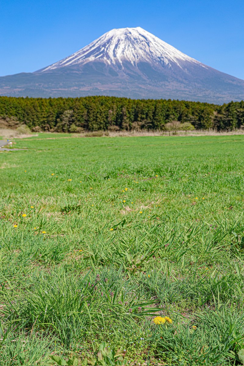 たかたか tweet media