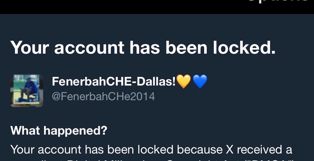 FenerbahCHE-Dallas!💛💙 tweet media