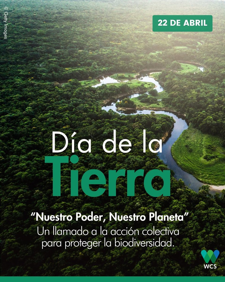 WCS Ecuador 💚💙 tweet media