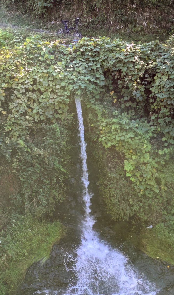 加古川ライダー6（安全第一を優先にライドと釣りを楽しむ） tweet media