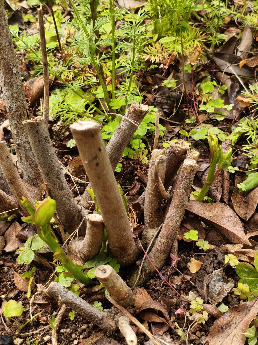 濱ちゃん🤣 tweet media