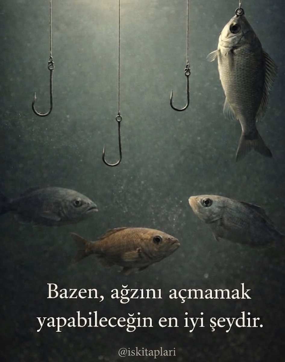 İyi Şeyler (@iyigeldii) on Twitter photo 