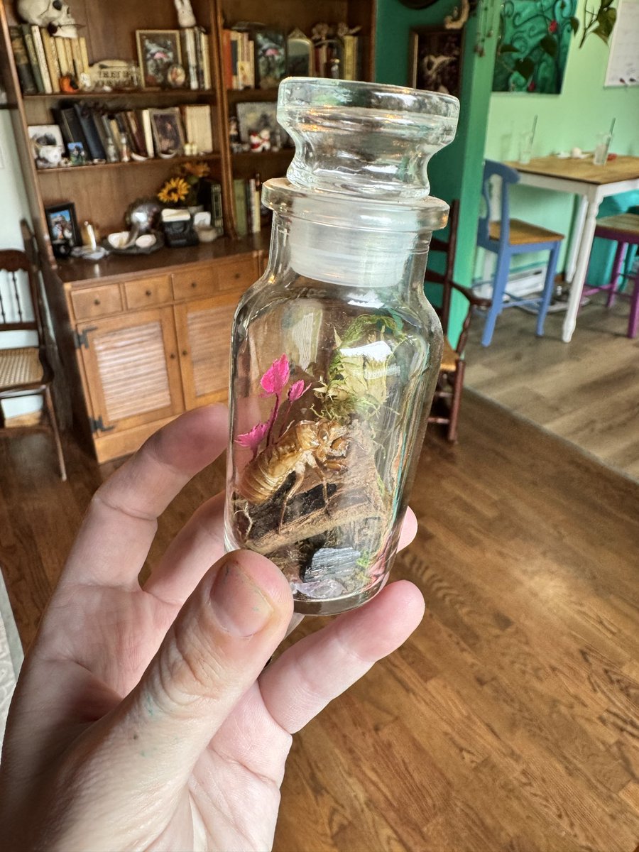 Laura Greenbriar - The Cottage Witch tweet media