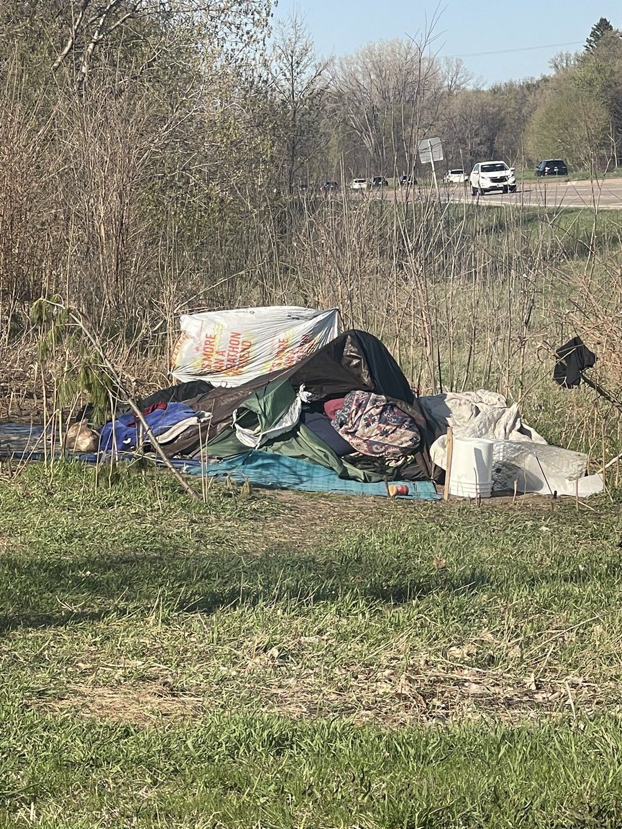 Liz Collin tweet media