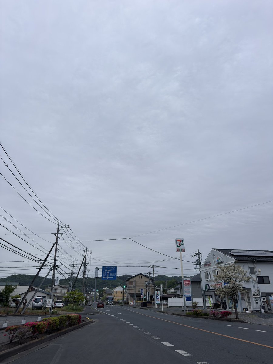 まめ🐶mametaro tweet media