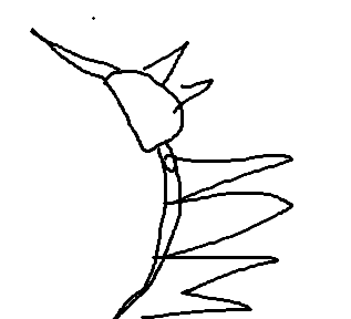 The Ring Nursefather's weapon || Tibia tweet media