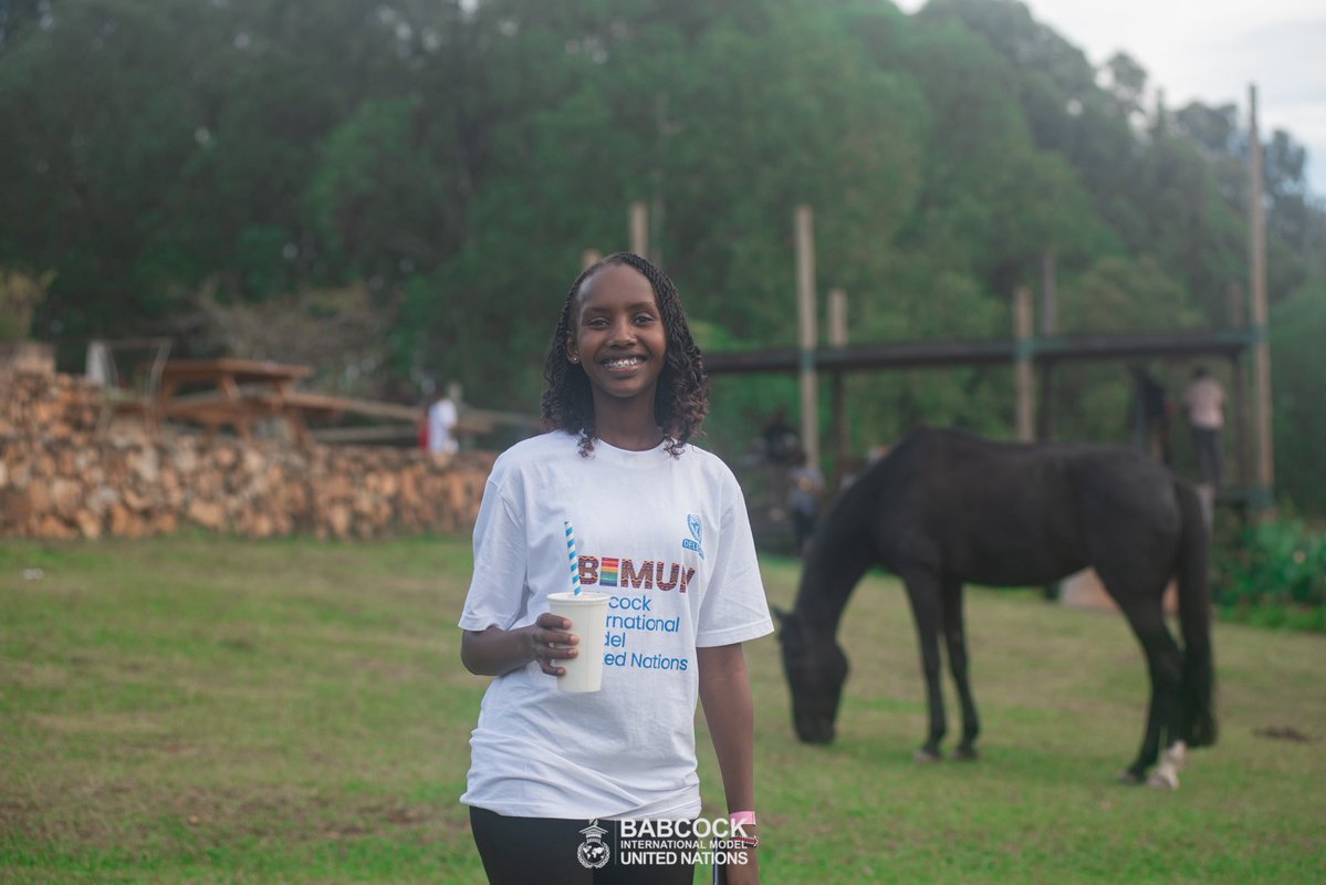 #RegisterforBIMUN26Nigeria tweet media