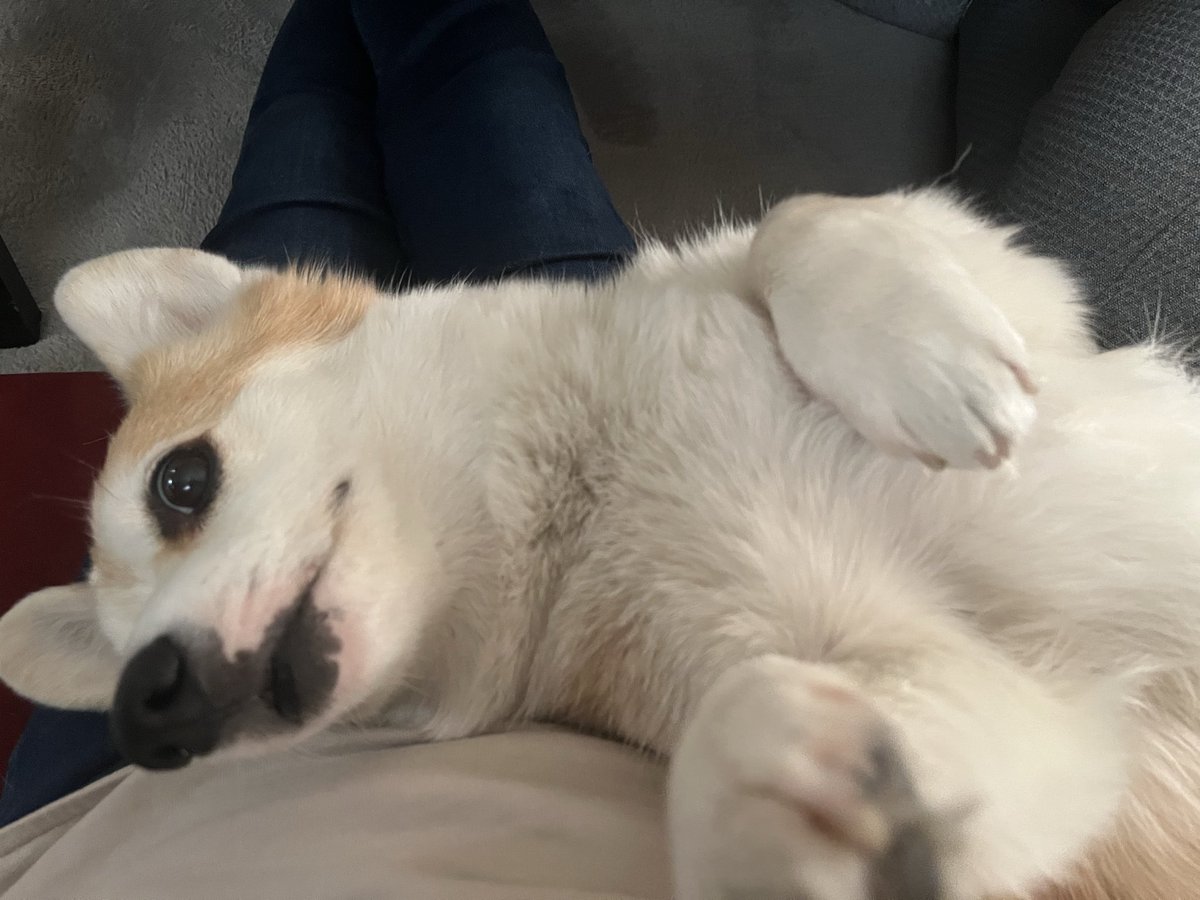 ルーちゃんママ tweet media