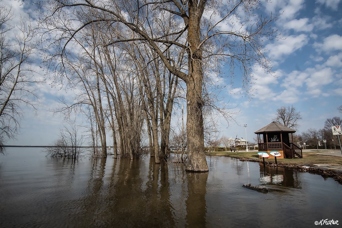 harry_fosters's tweet image. Post 4 of 4 
Went for a walk around the #Aylmer Marina this morning to see the effect of high water. Besides these images of high water there were a few buildings and houses pumping water out of basements.#flooding #highwater