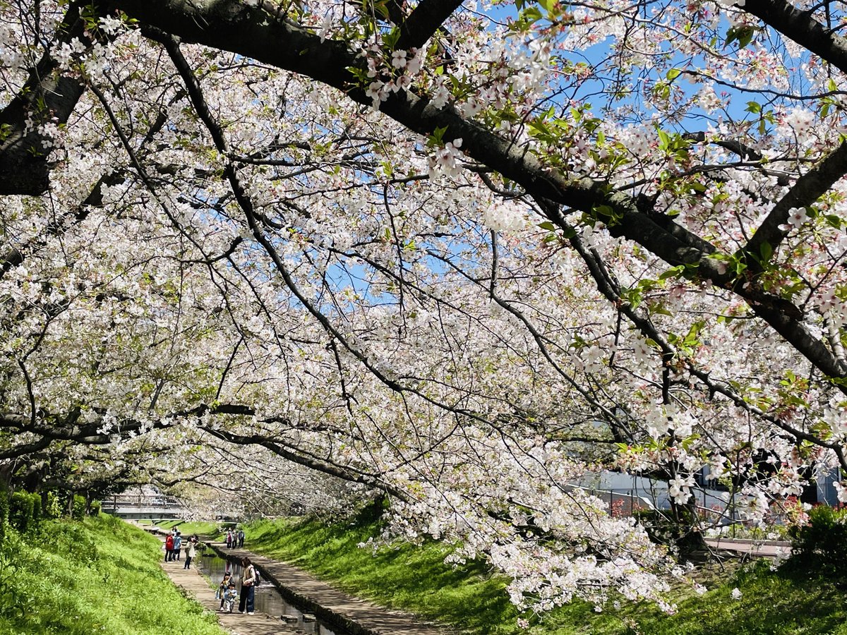 🍀おはようございます🍀