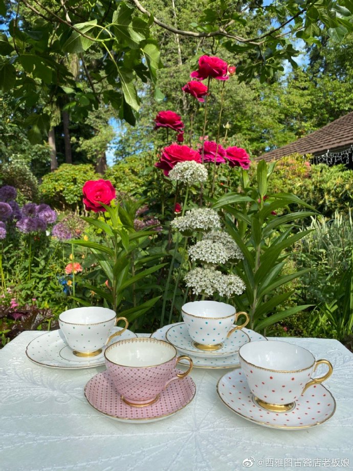 Pelloquin Philippe tweet media