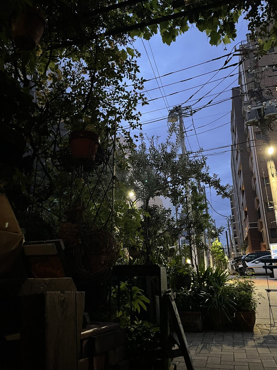 今日は雨の一日中なるそうです。

植物たちにとって自然の水をしっかり飲んで、
体も洗えて一石二鳥。

こちらは雨音が丁度良いBGMになります。

さ
オープンです。

#Comorebicafe
#コモレビカフェ
#江東区コモレビカフェ
#コーヒーコモレビカフェ
#お酢レモン
#抹茶レモネードコモレビカフェ