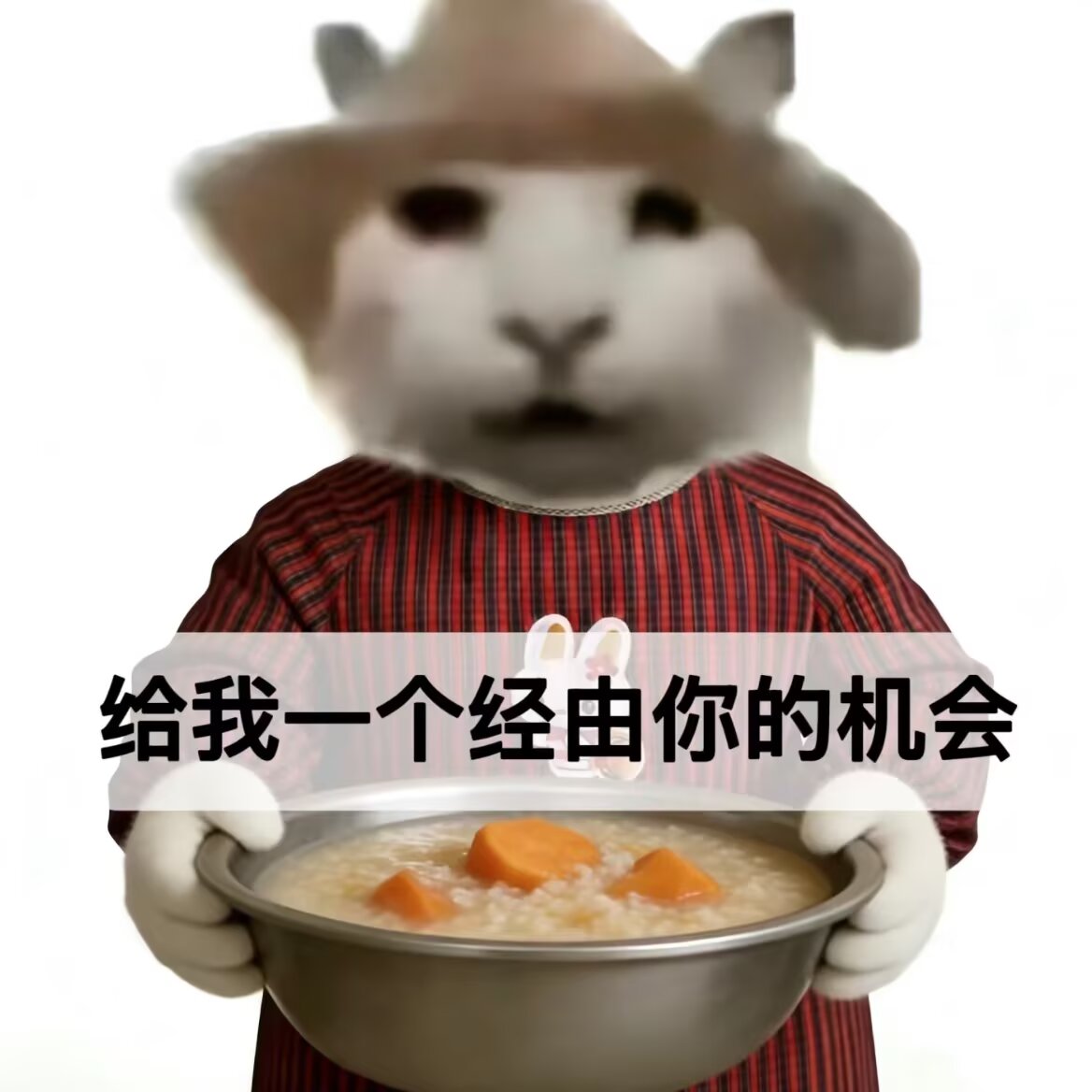 栖棠 tweet media