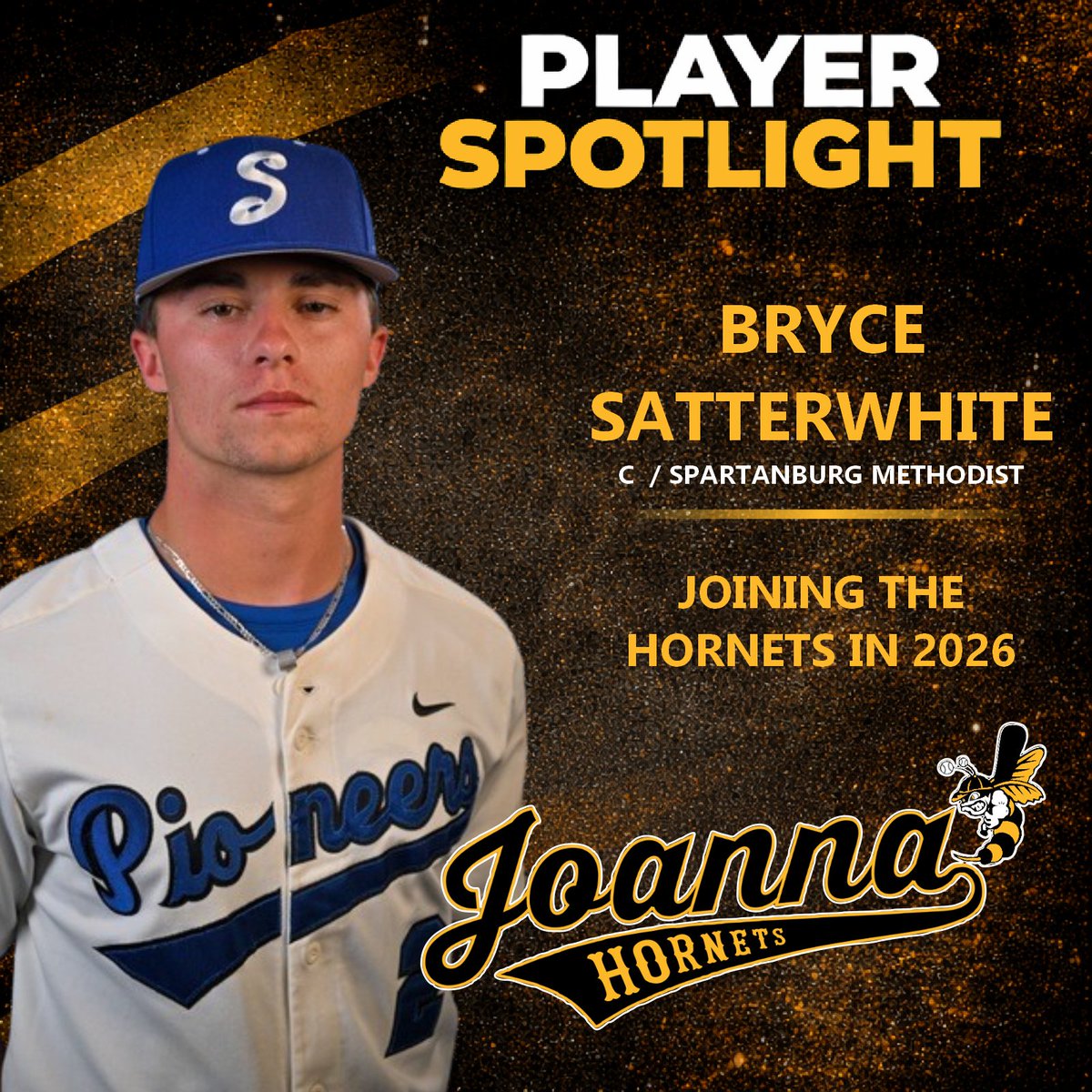 Joanna Hornets tweet media