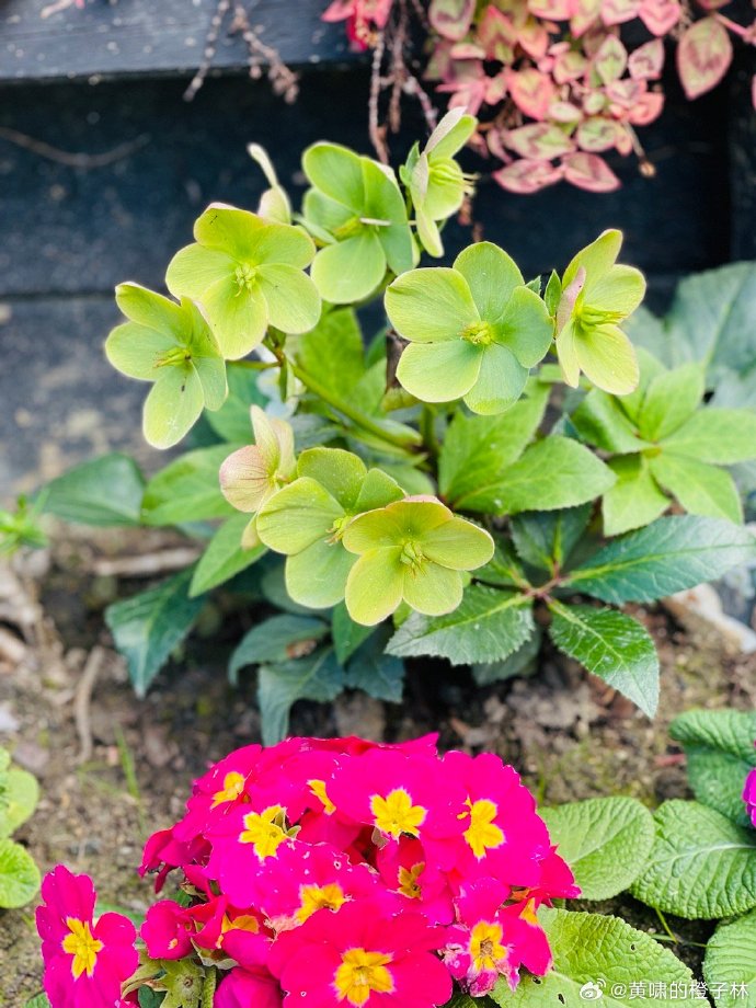 Юра Міняжетдінов tweet media