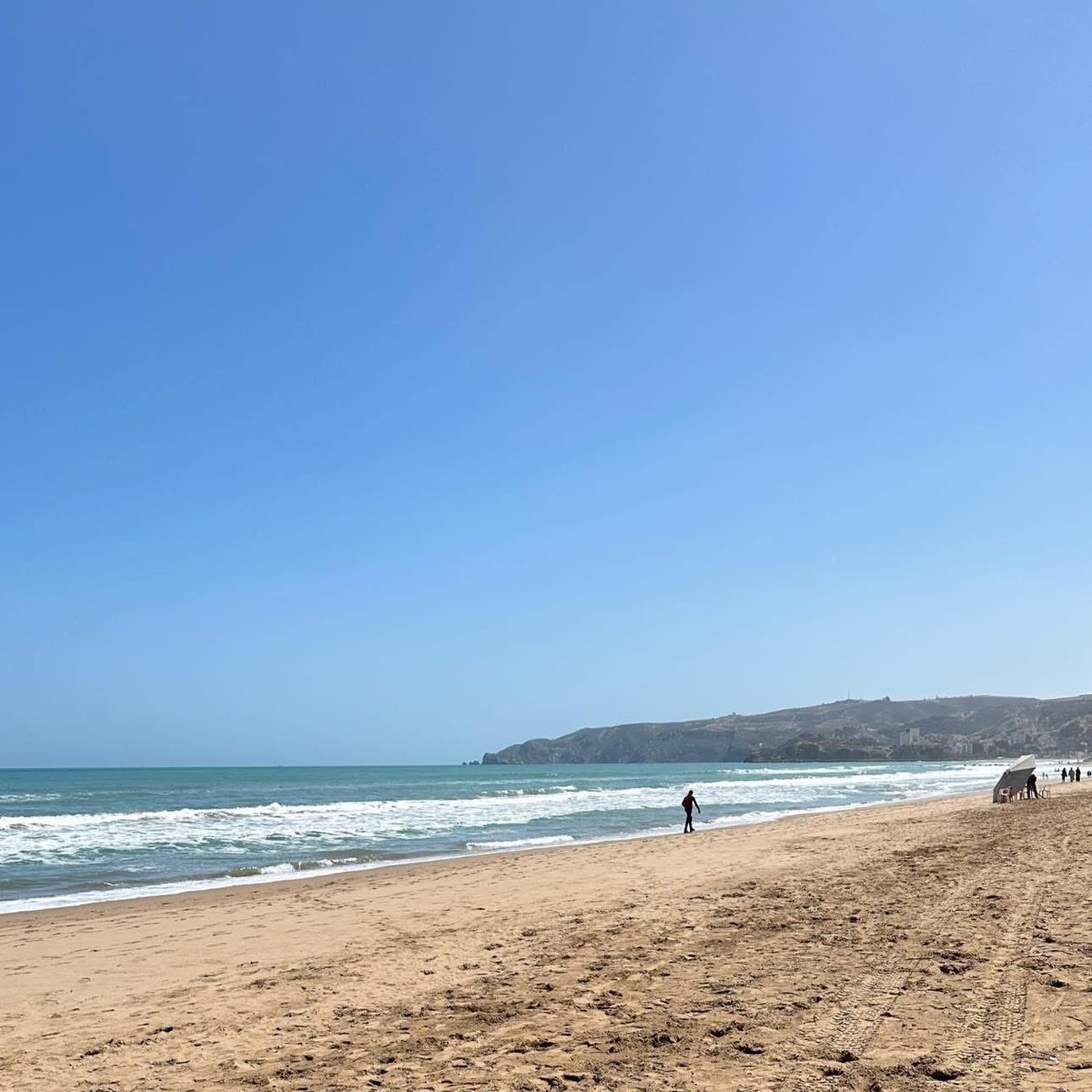 حمید tweet media