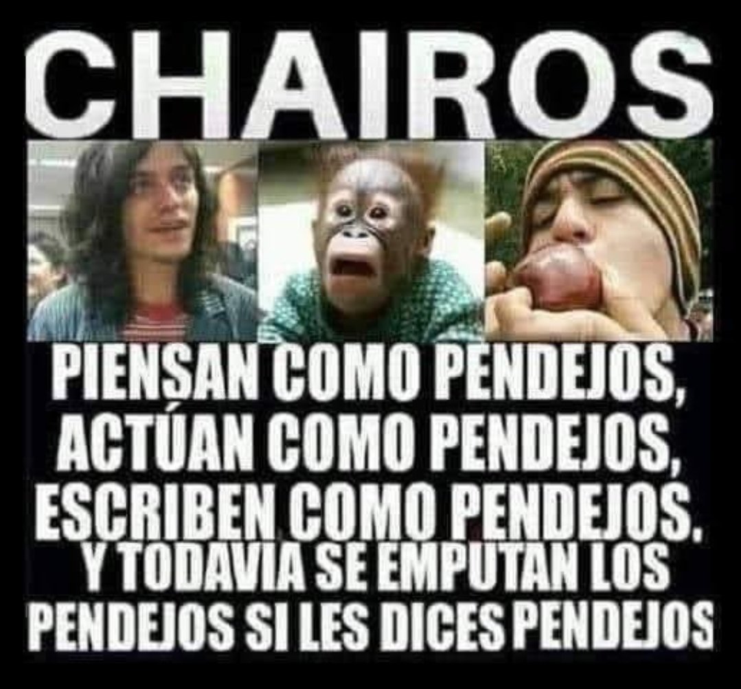 Sol Vargas tweet media