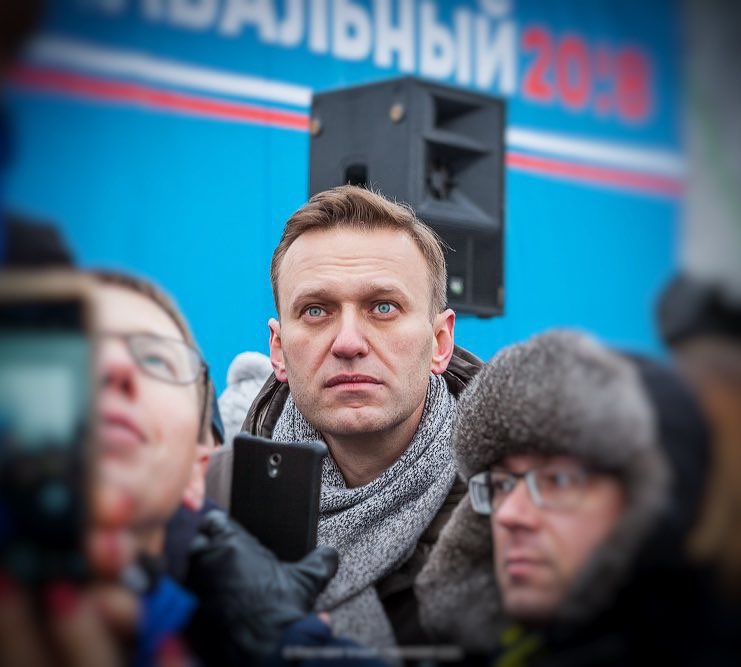 Оживший куст❗️🫶 tweet media