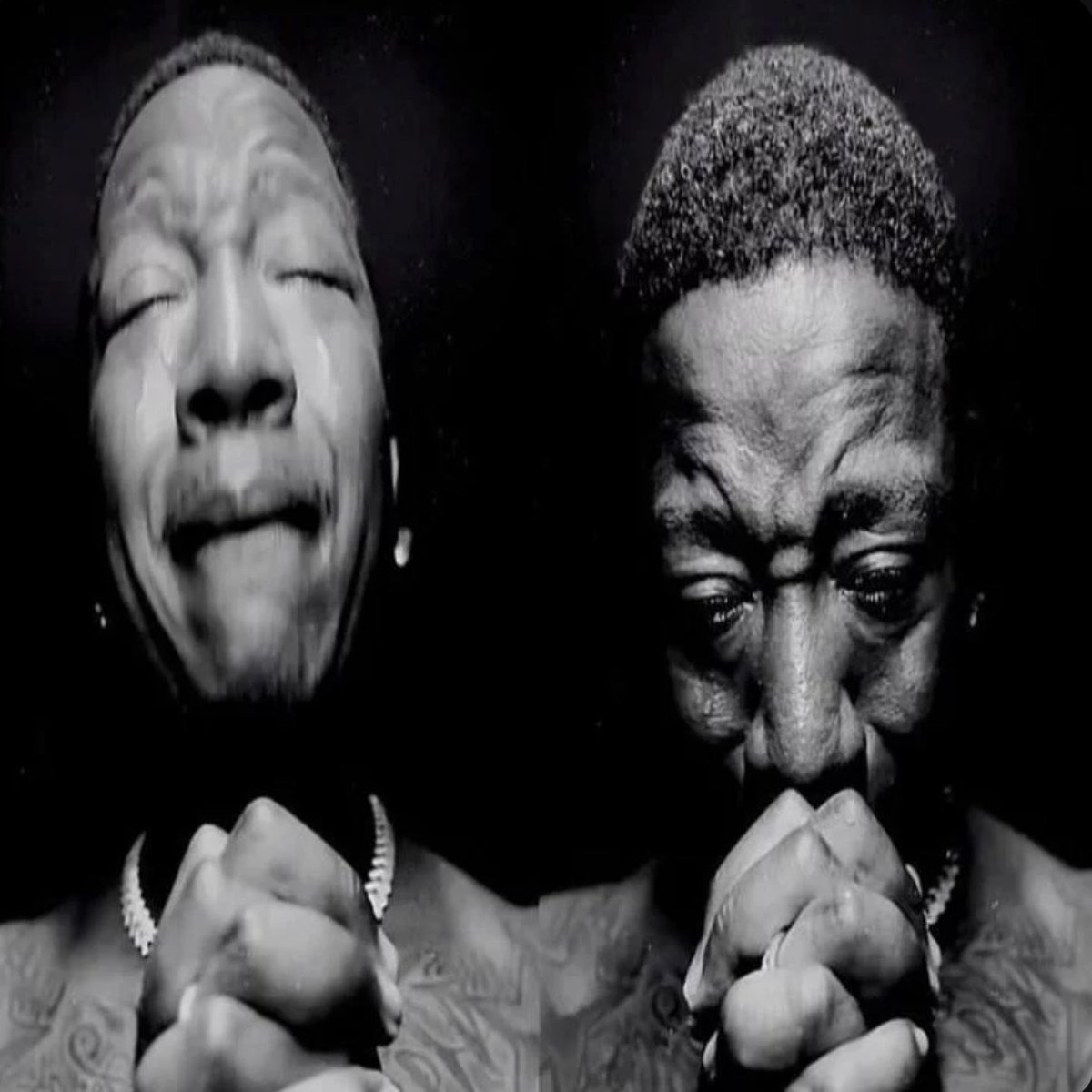 dumpling cays tweet media