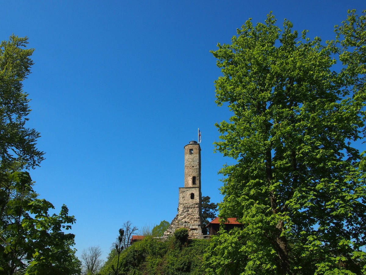 Flurnamen's tweet photo. Aktion "5 nach 12" > #Flurnamen im O-Ton in Hirrweiler und Hößlinsülz, Stadt #Löwenstein, Landkreis #Heilbronn, für den #Flurnamenatlas BW festgehalten >> Jahrhunderte alte Kulturdenkmäler mündlich überliefert von bald hundert Jahre alten Gewährsleuten >>> Vergelt's Gott! https://t.co/tVg3UZ42pm