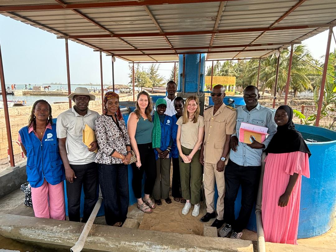 CanEmbSenegal's tweet photo. In the Sine Saloum🇸🇳 region, Assistant Deputy Minister for Africa @cheryl_urban learned about the projects led by the Cégep de la Gaspésie: aquaculture, the circular economy, and Quebec expertise supporting Senegalese communities!
@CanadaDev https://t.co/oyqG3vKcSN
