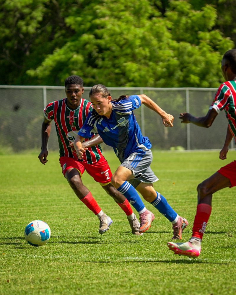 Ronald Pin tweet media