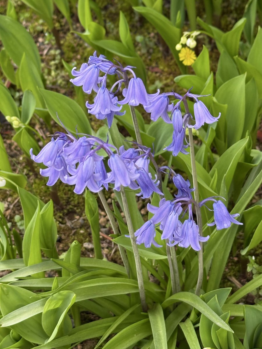 □【Explosive Spring】“This year, the power of spring is moving