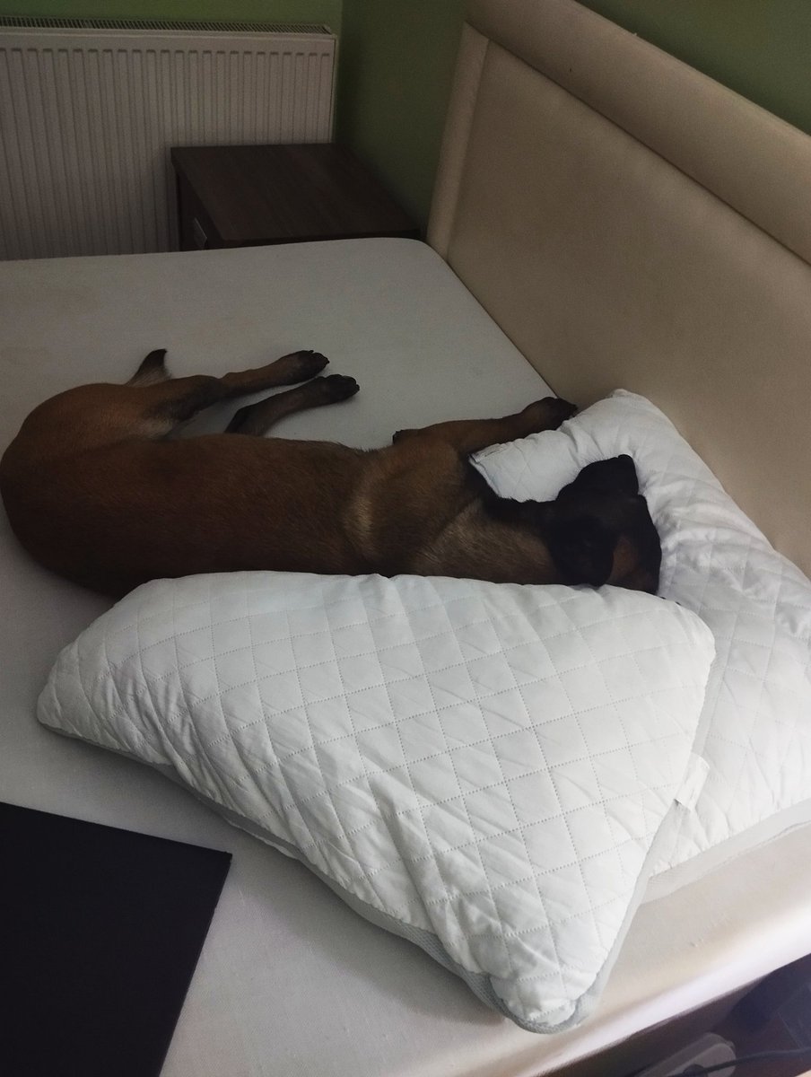 keyfimin kâhyası ben ve Paşammmm tweet media