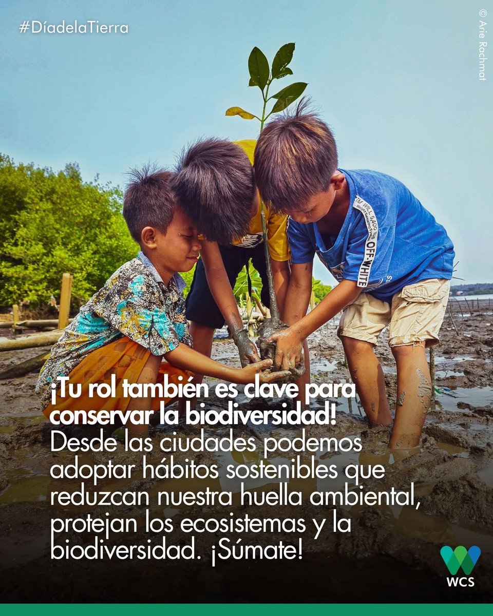 WCS Ecuador 💚💙 tweet media