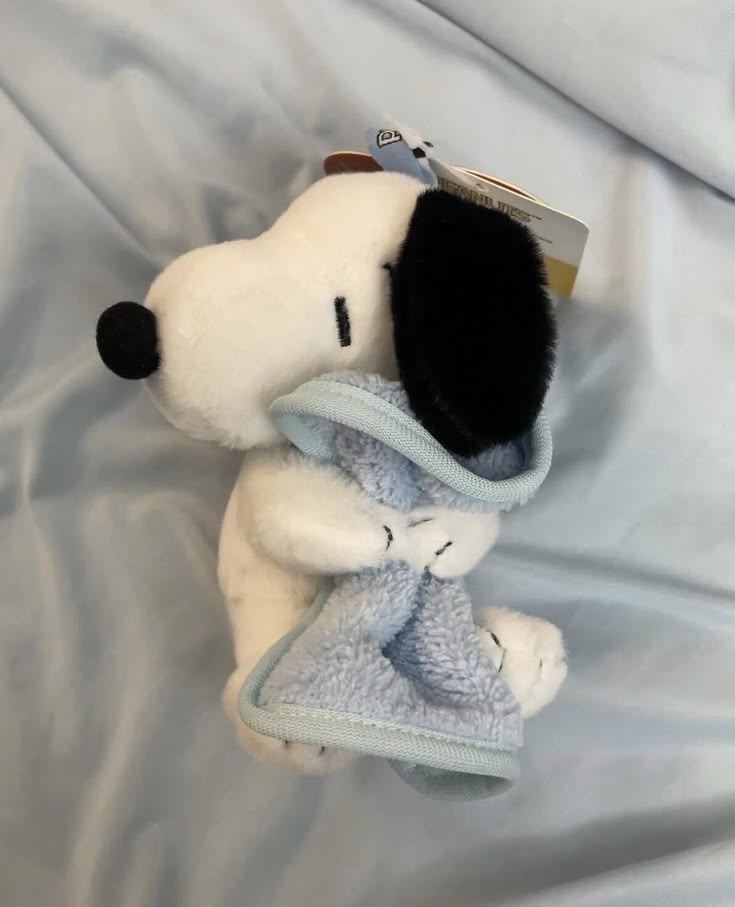 CuteVibes tweet media