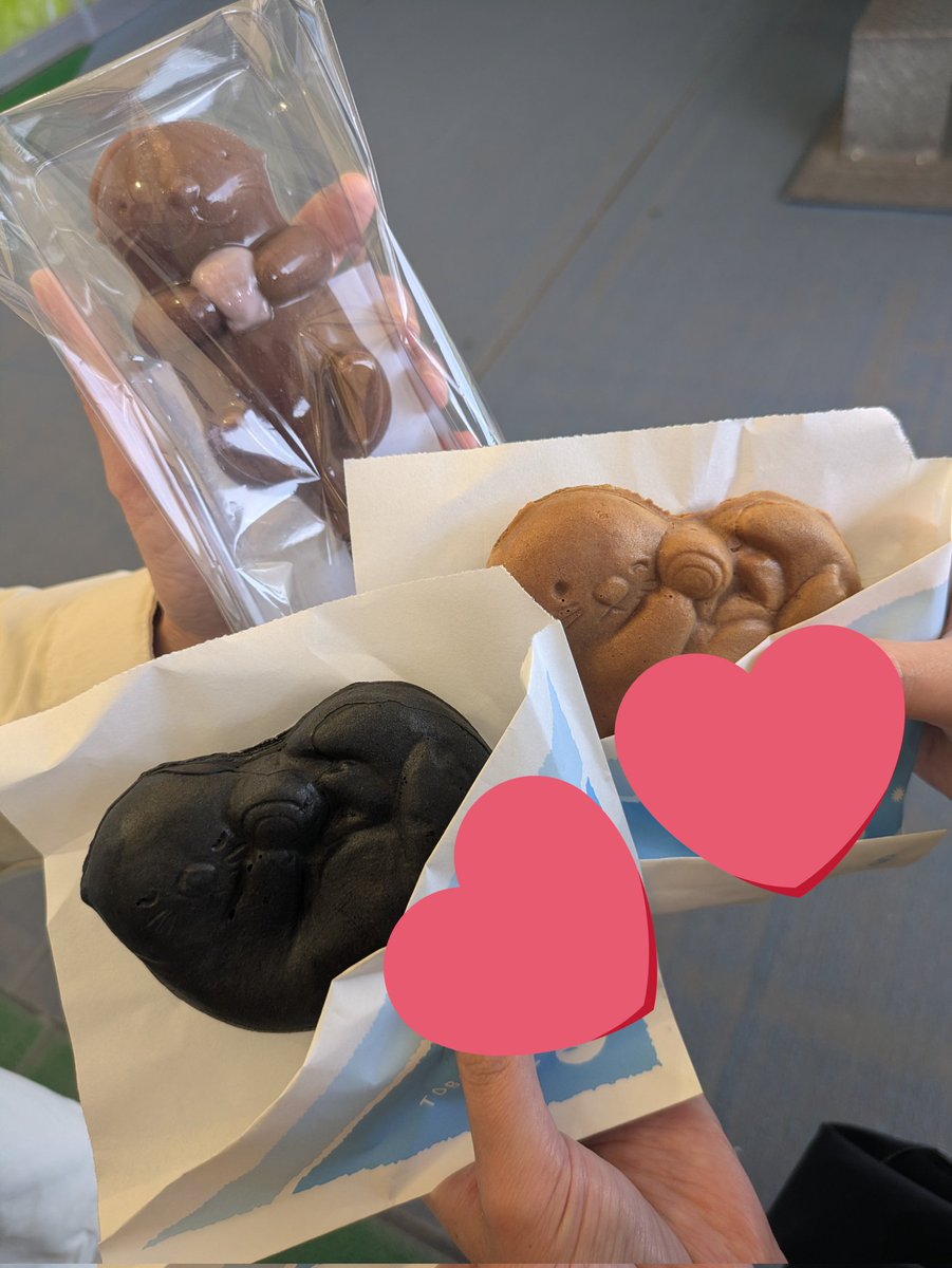 chiroru69's tweet photo. 今年もラッコ沼にハマってる妹の付き添いで朝6時過ぎから鳥羽水族館まで🥰今年は少し早く切り上げておかげ横丁にも行けたので満足✨ https://t.co/uOQsCO2zpc
