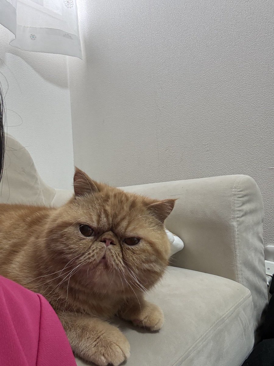 みちこず tweet media