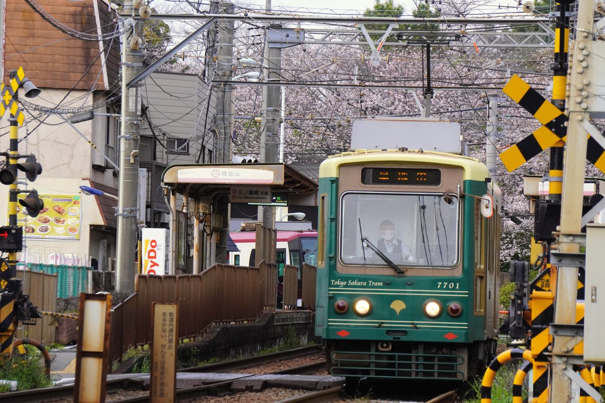masashiz2's tweet image. おはようございます！(:D)┓
【新河岸川橋梁】E257系[踊り子]伊豆急下田/修善寺-東京→からの回送：並行する荒川との堤防に咲く桜、季節の瞬間！
【飛鳥山停留場】東京さくらトラム7700形 緑：飛鳥山の桜
【王子駅前停留場 付近】東京さくらトラム8900形 黄：飛鳥山のつつじ
【赤羽駅】E491系East i-E