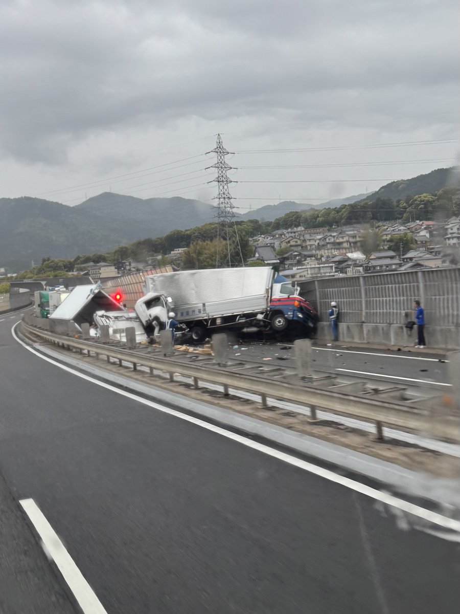 たゃん(生後7ヶ月) tweet media