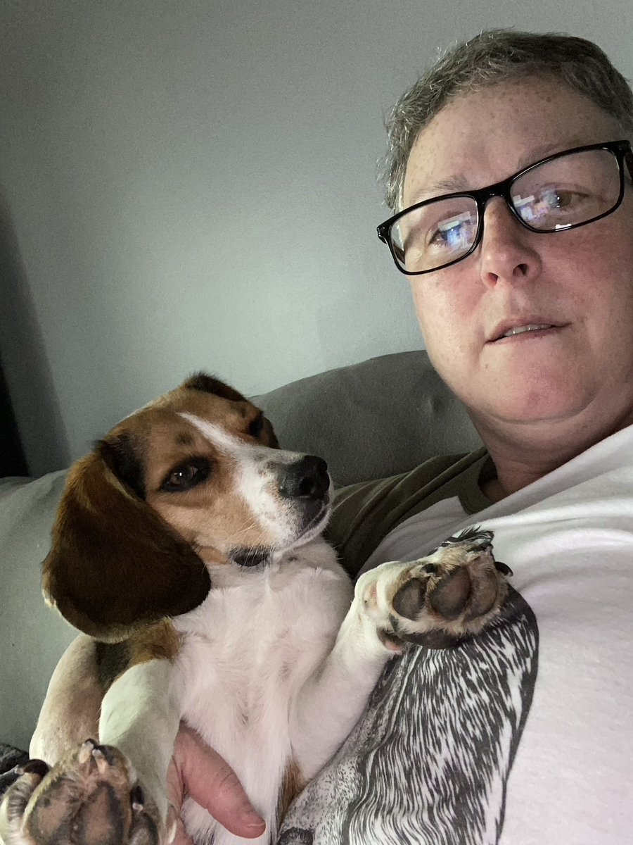 cack1229's tweet image. Happy #NationalBeagleDay to all the #beagle lovers out there! #beaglefacts We love them despite, or maybe because of, their naughty behavior 🤭