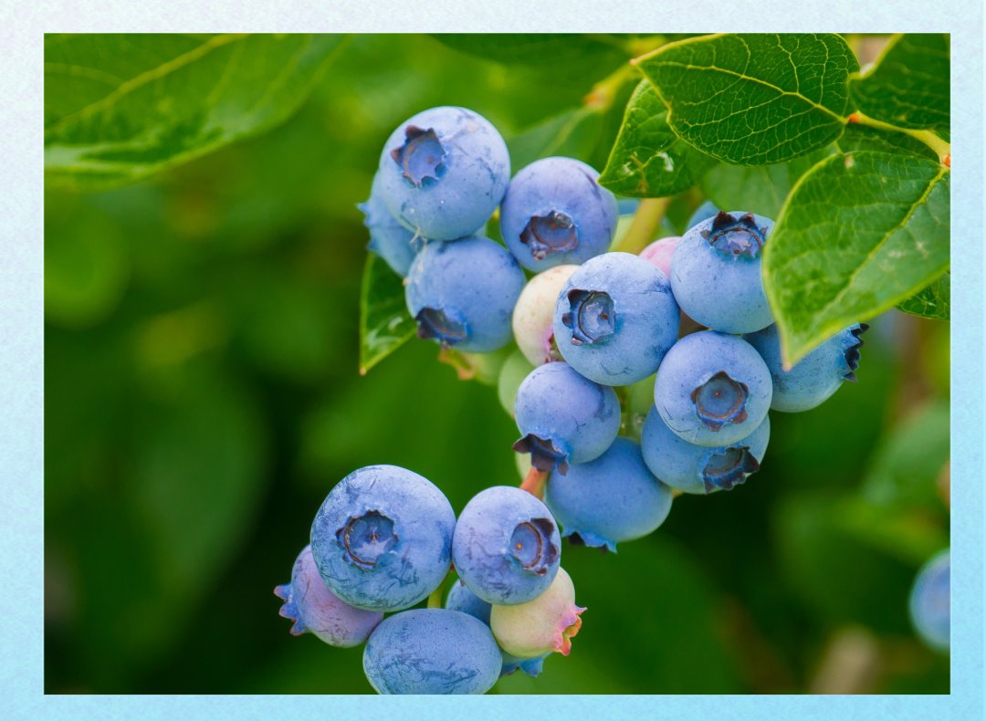 Juan Jesus Fernandez tweet media