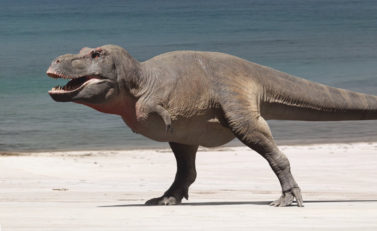 Rudo🧤🗑️(Ferrus) tweet media