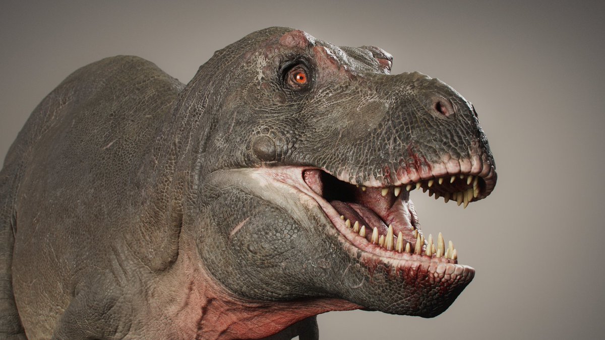 Rudo🧤🗑️(Ferrus) tweet media