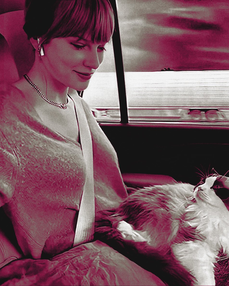 ᅠ ᅠ ᅠ ᅠ ᅠ ᅠ ᅠ ᅠ ᅠ ᅠ ᅠ ᅠ ᅠ ᅠ ࿐ ⋮ 𝖊𝐥𝐞𝐚𝐧𝐨𝐫 ᵎᵎ tweet media