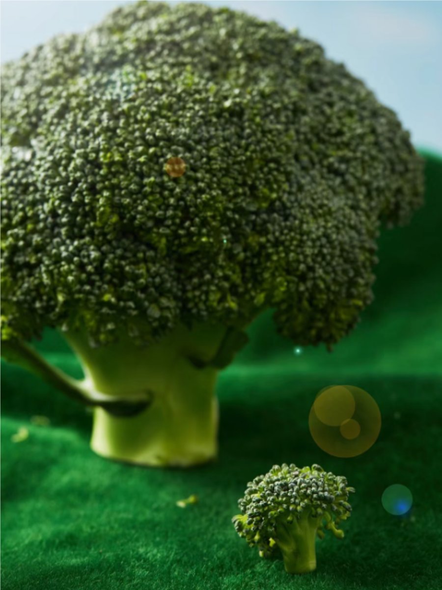 Josh Kapor tweet media